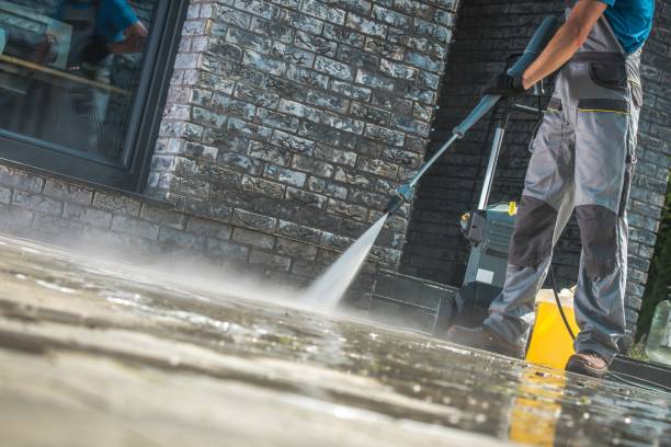 Best Gutter Cleaning  in Havre, MT