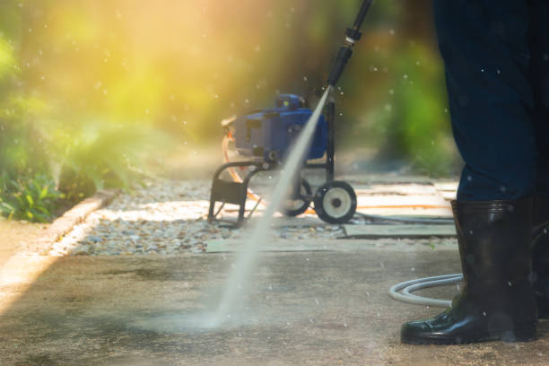 Best Driveway Pressure Washing  in Havre, MT